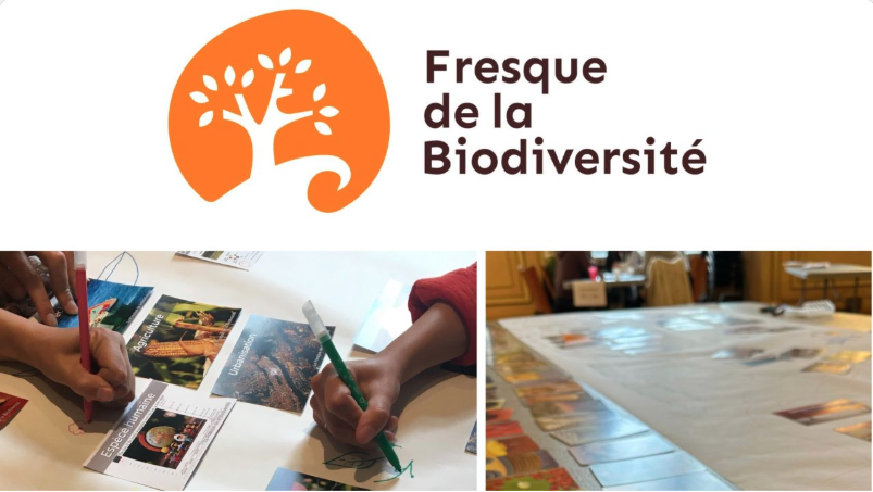 🌿 Fresque de la Biodiversité
