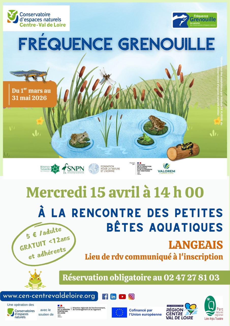 À la rencontre des petites bêtes aquatiques